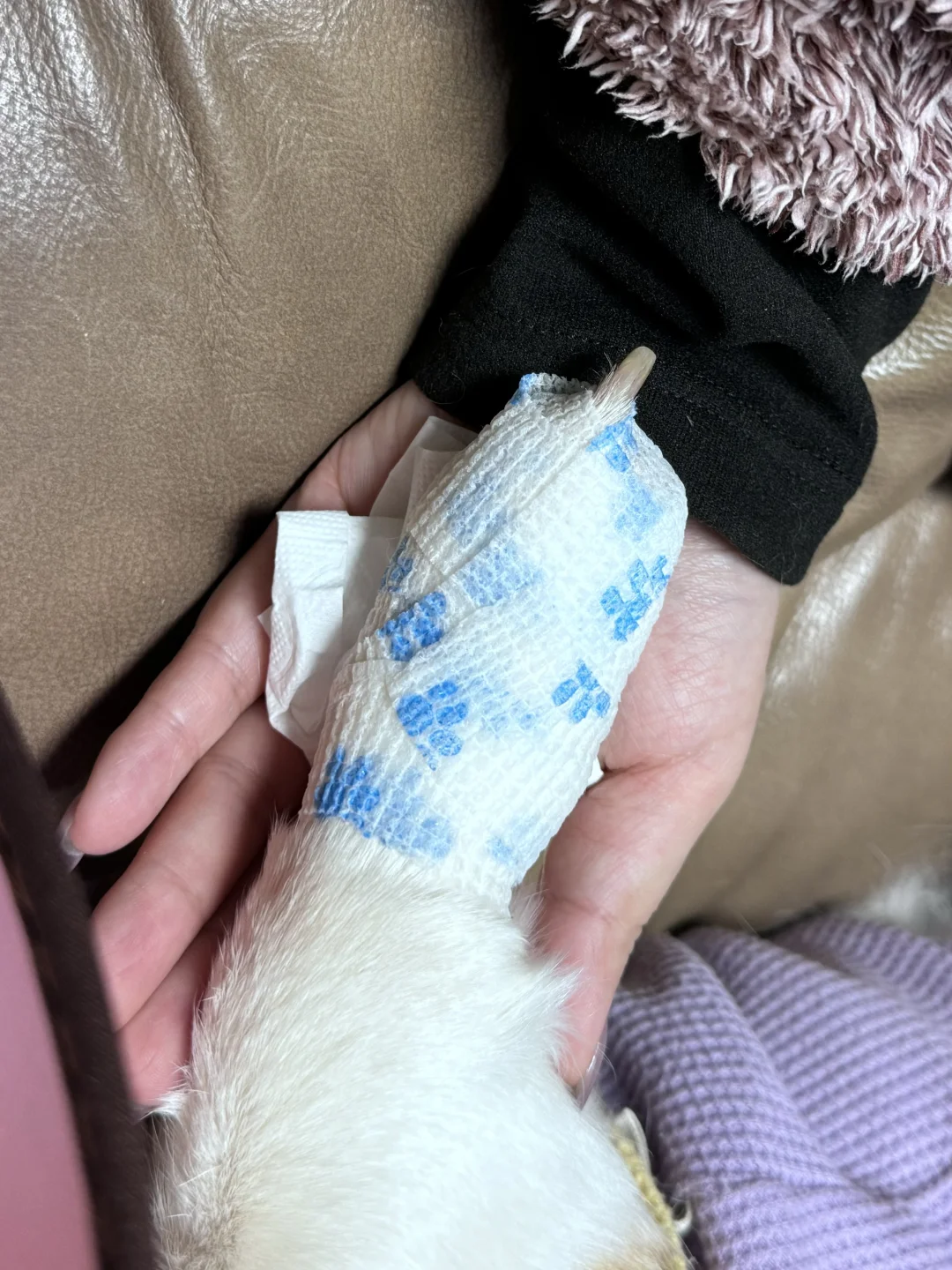 这个猪蹄……我包出来的效果怎么怪怪的