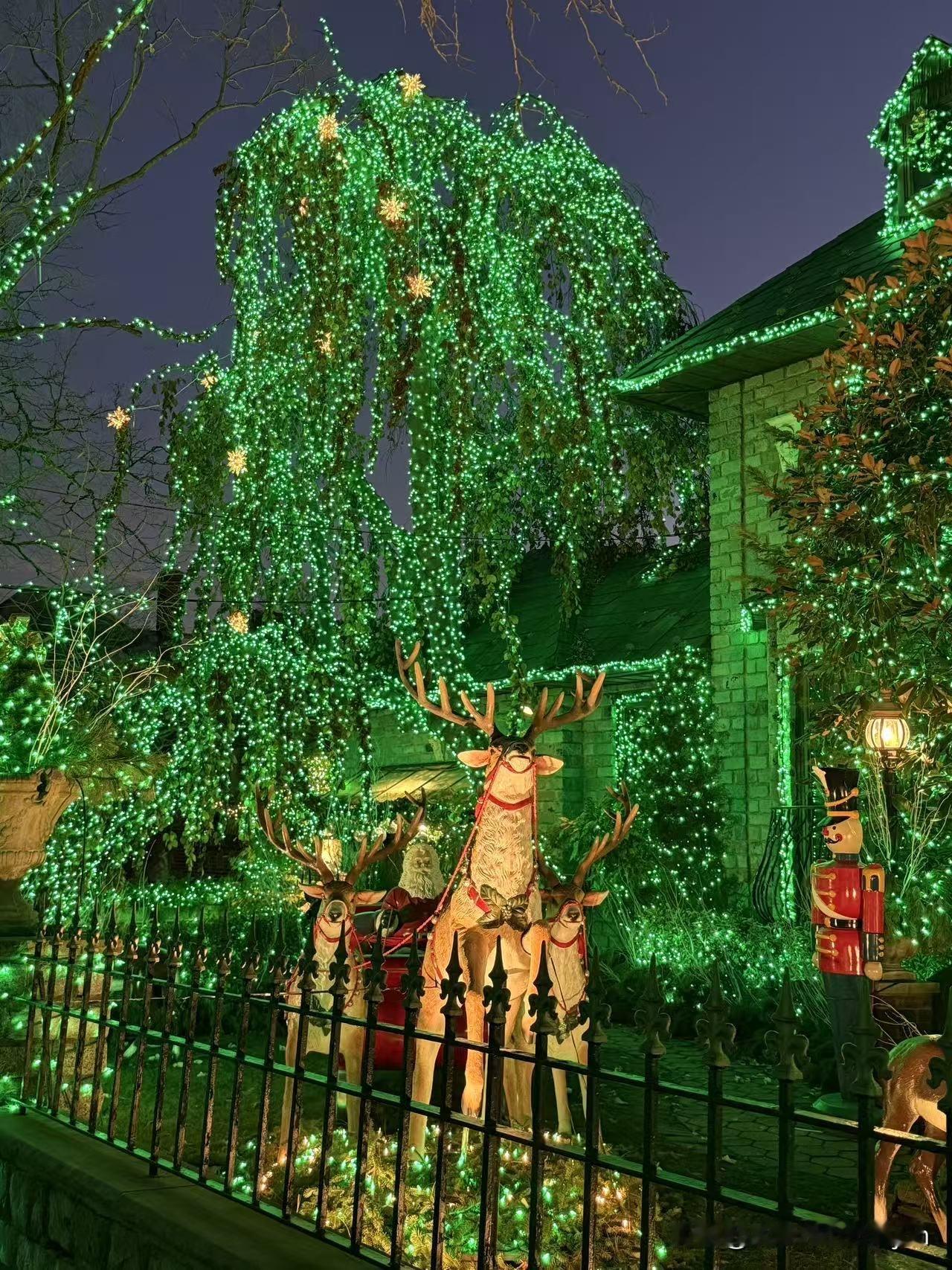 一年一度圣诞家庭装灯大赛开始了哈哈哈