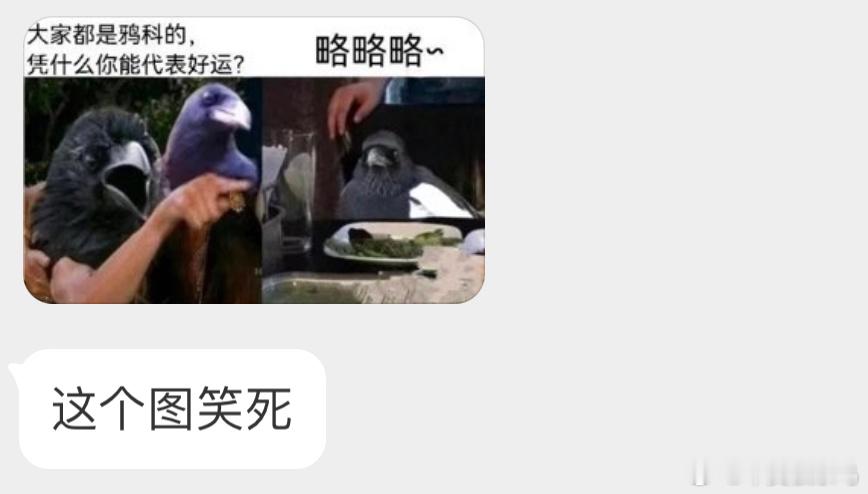 喜鹊：我七夕给牛郎织女搭桥 你们呢？ ​​​