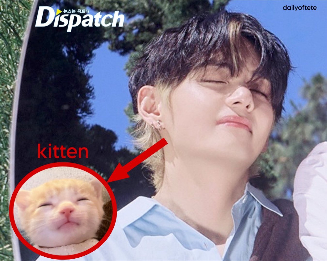 金泰亨【tg】突发新闻！Dispatch曝光tete其实是一只小猫៷>ᴗ<៷ 