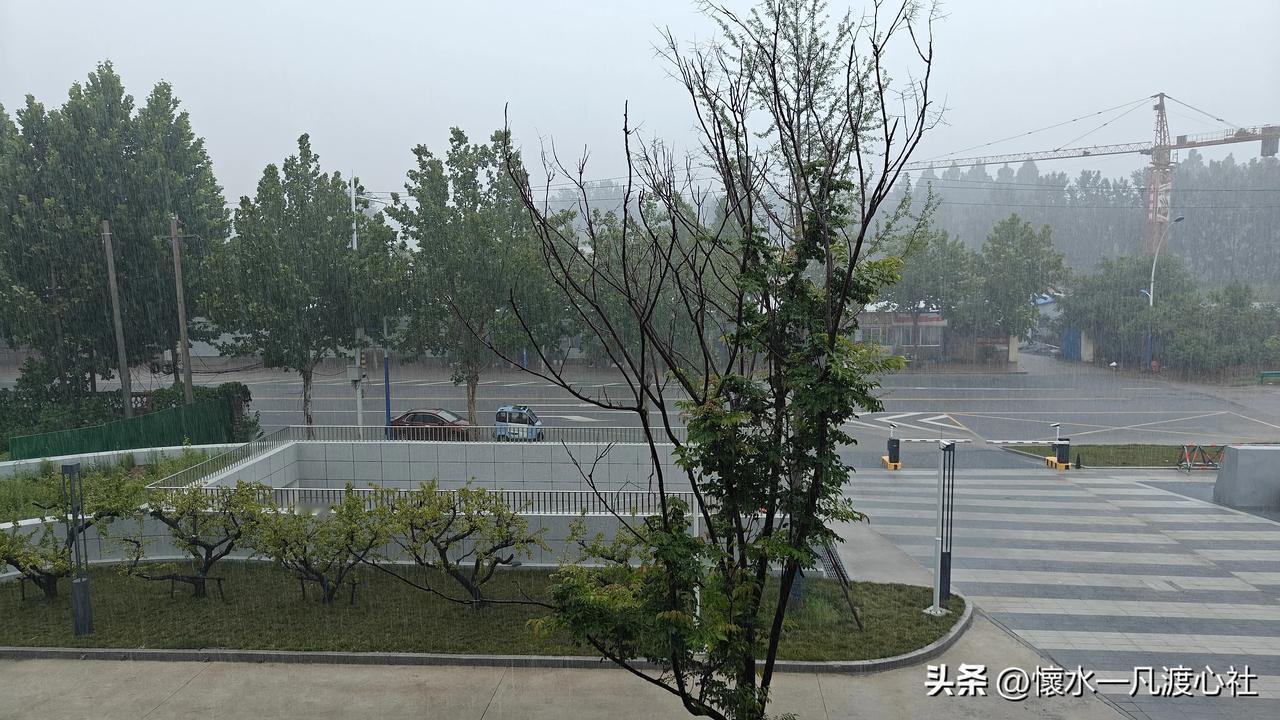 我的心情跟天气没啥关系，艳阳高照，也不妨碍我心情抑郁。凄风苦雨，别不影响我兴高采