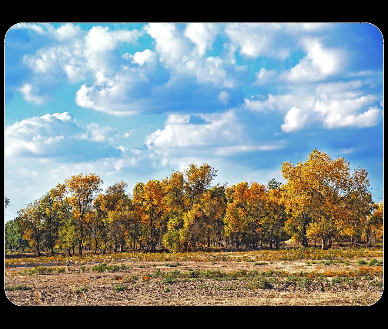 《天高云淡》
和成都相比，乌鲁木齐更是四季分明。春天，百花齐放；夏日，绿郁葱葱；