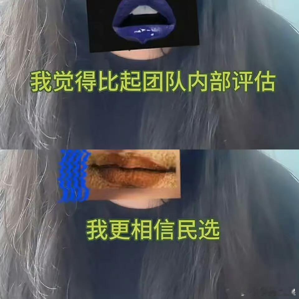 柴鸡蛋：比起团队内部评估，更相信民选，要不你搞个线上投票吧，我指定给你投出来下一