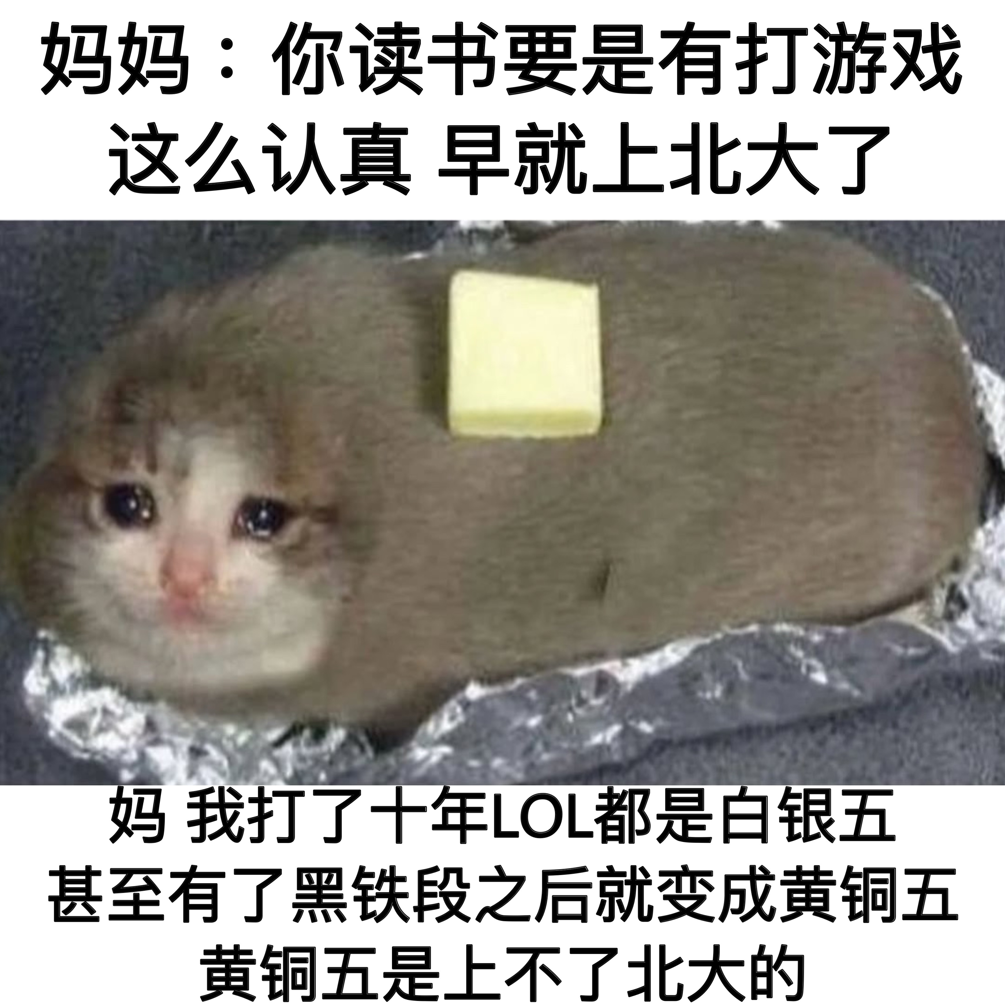 那很愚钝了memes