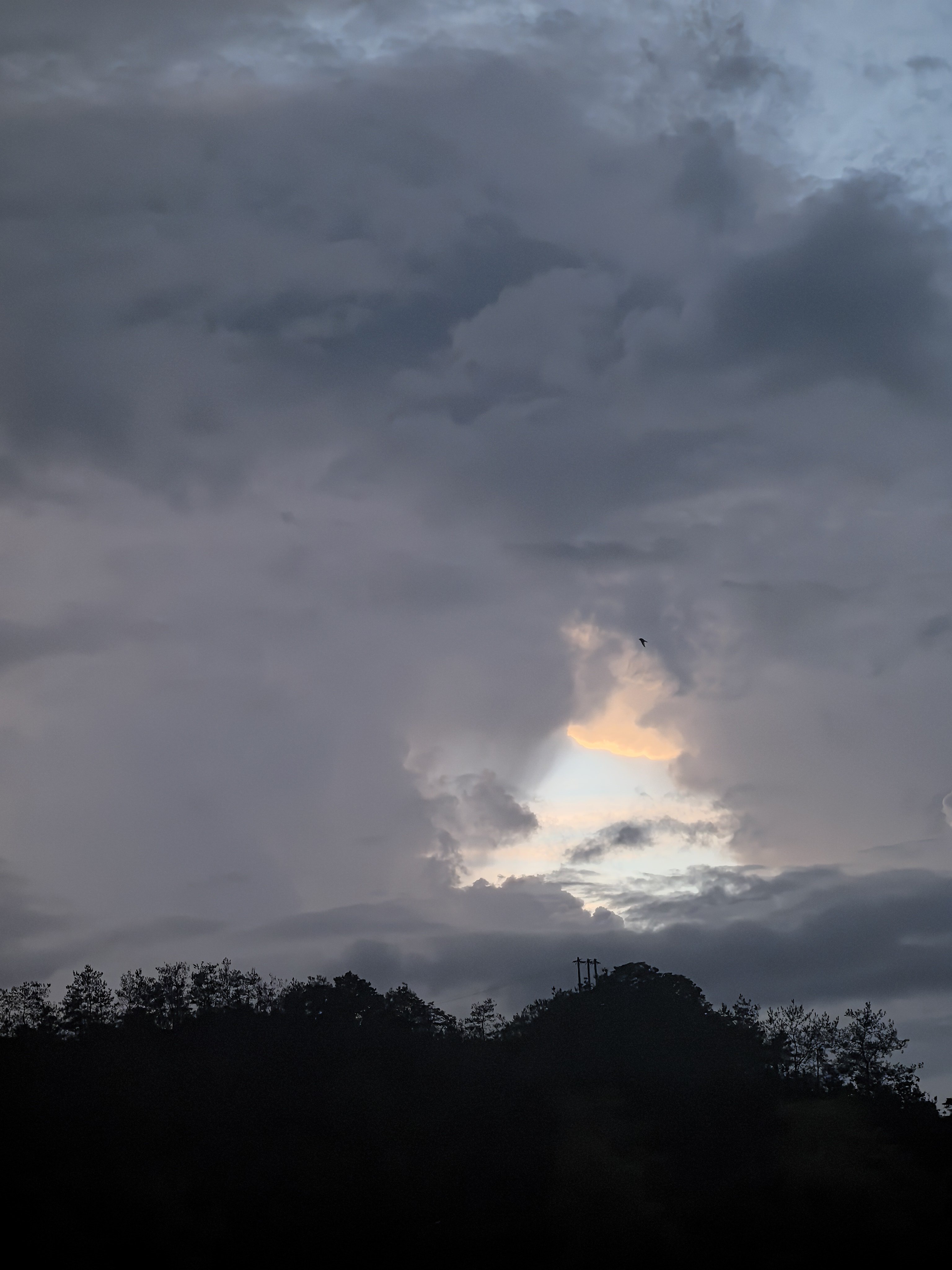 下个雨的傍晚是稍微凉快了点 