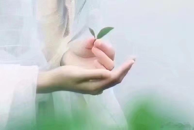 女人的美不是在脸上，而是在姿态上。姿态又是心灵的表现，有哪样慧心，必有哪样姿态…