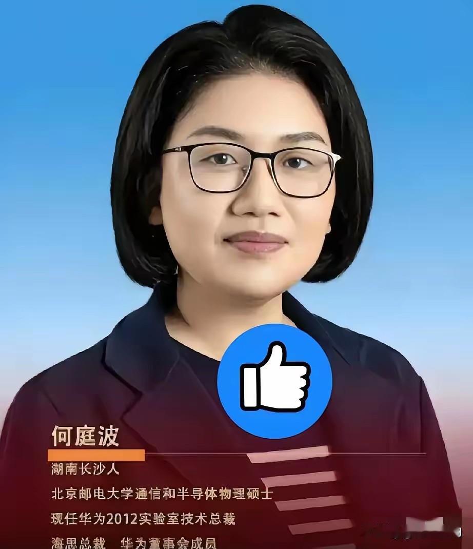 真正帮华为扛住芯片绝境、硬生生打破国外技术封锁的核心人物，不是大众熟知的台前人物