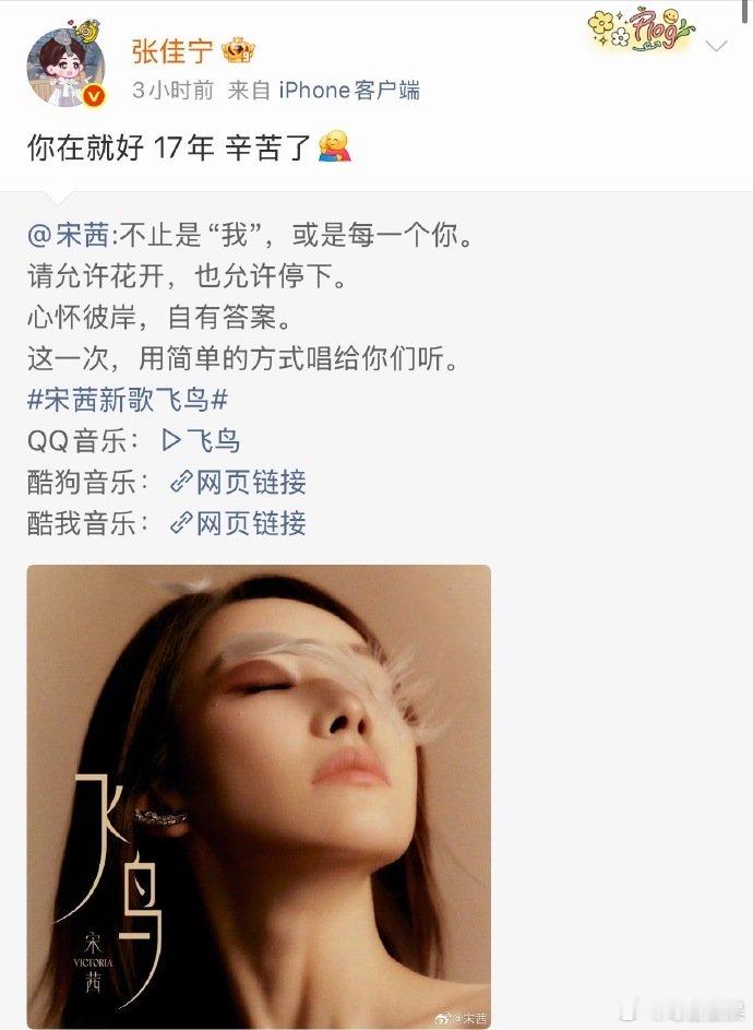 张佳宁转发宋茜你在就好17年辛苦了张佳宁心疼宋茜 你在就好 17年 辛苦了，张佳
