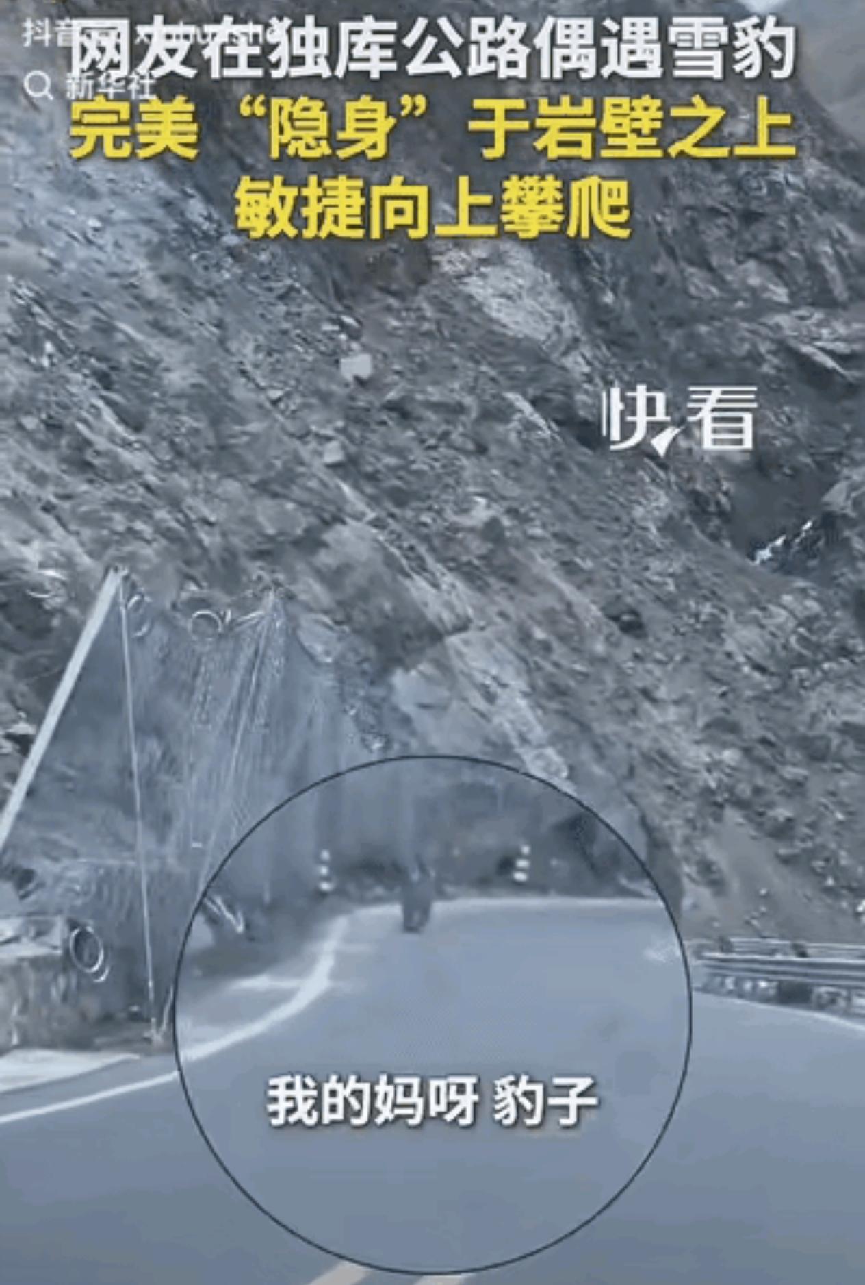 新疆，一对男女驾车行驶在独库公路上，女子竟然发现雪豹“隐身”于岩壁之上，雪豹动作