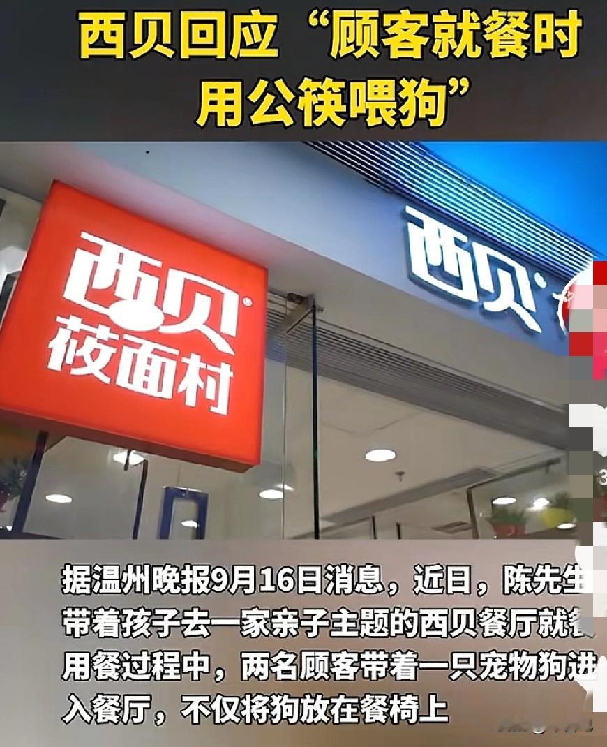 在西贝公筷喂狗
1.竟还有人去西贝吃贵的预制菜。
2.还拿公筷喂狗。
3.这个顾