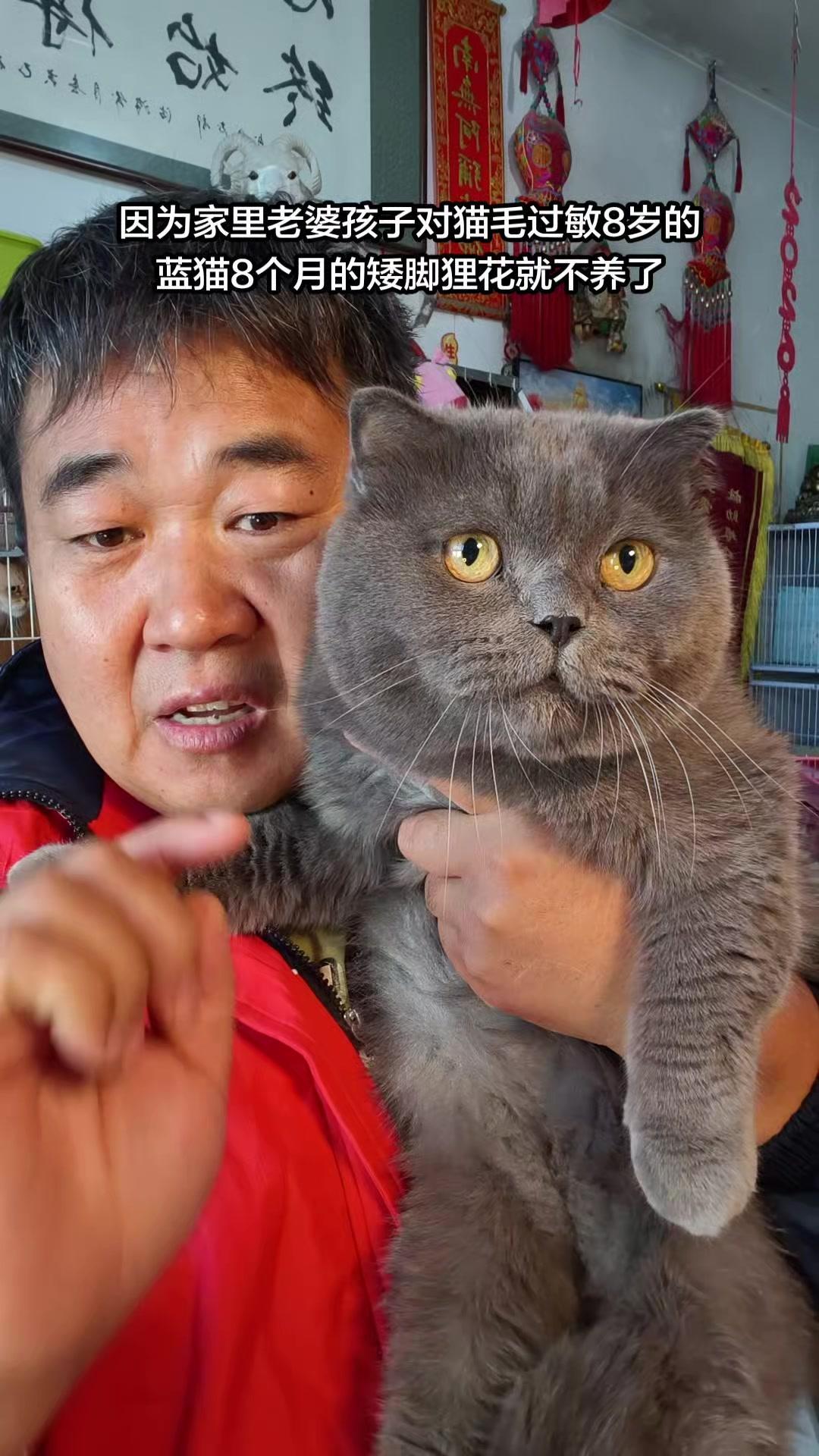 刚在家收拾完铲屎，又碰上主人把两只家养猫直接送到基地弃养了。
主人说媳妇和孩子对
