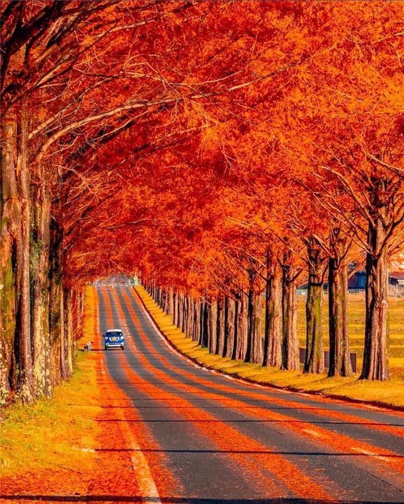 人活一辈子，
金钱和健康哪个更重要。
有人说是健康，
也有人说是金钱，
可我认为