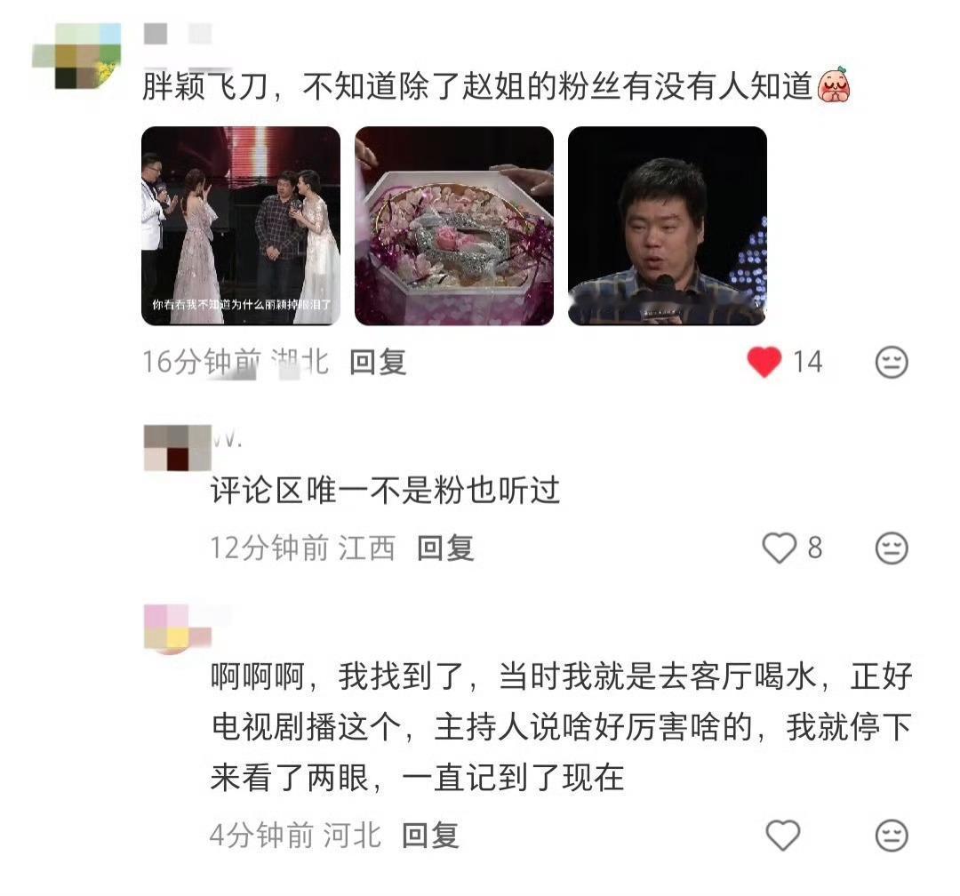 追星人看了想哭，怕给赵丽颖丢人拒绝和她同台。

被邀请和偶像同台，胖颖飞刀的第一