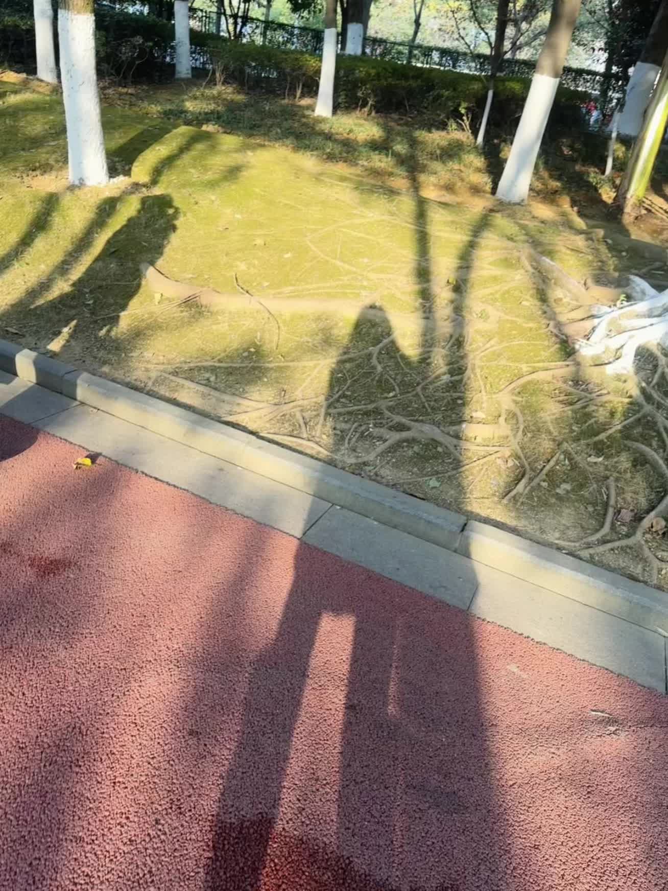 爱哎唉