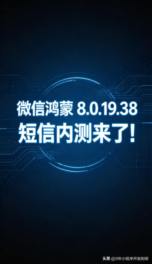 主线功能沿用 8.0.19，少量灰度小功能（相机录像切镜头、好友验证加电话、朋友