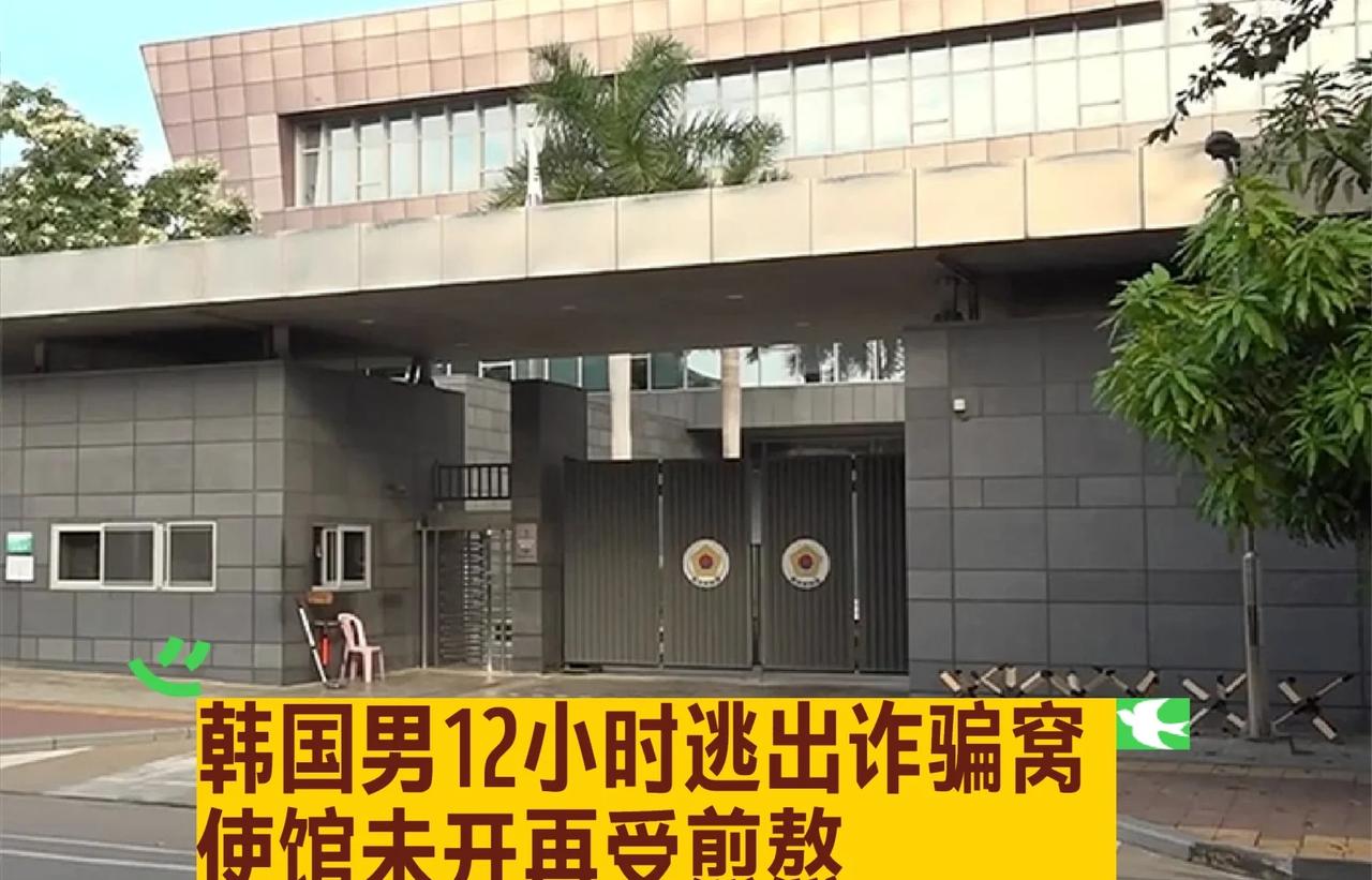 韩国男12小时逃出诈骗窝，使馆未开再受煎熬
韩国男子经历12小时从诈骗园区逃到大