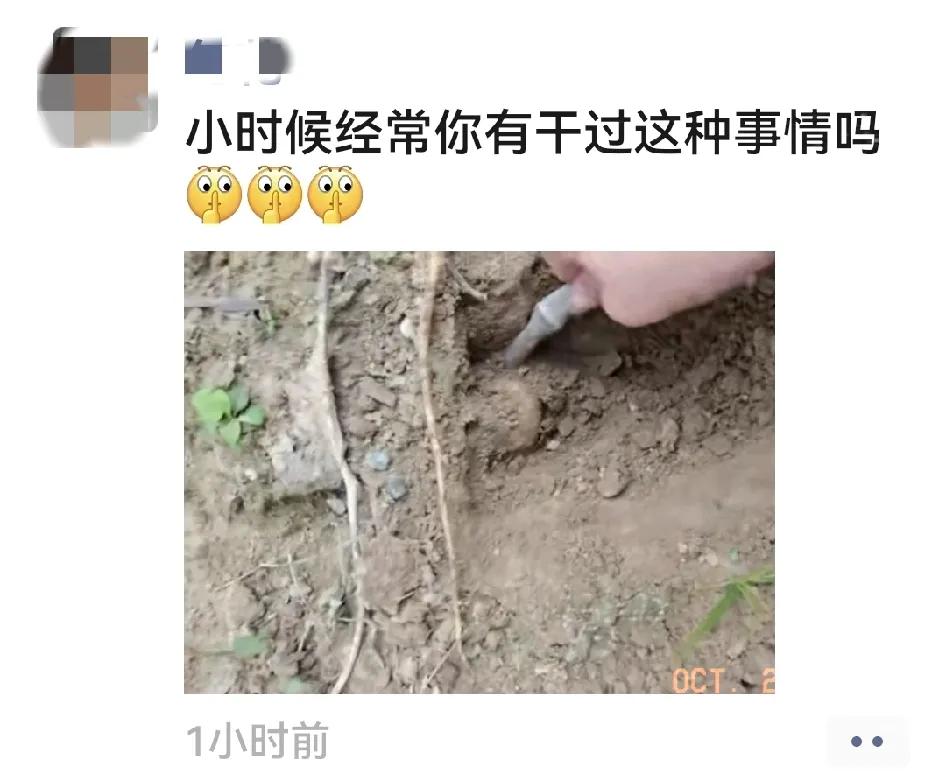 真是小时候的回忆啊，你们小时候干过这个事吗？
刚才刷朋友圈，看到闺蜜回老家去了，