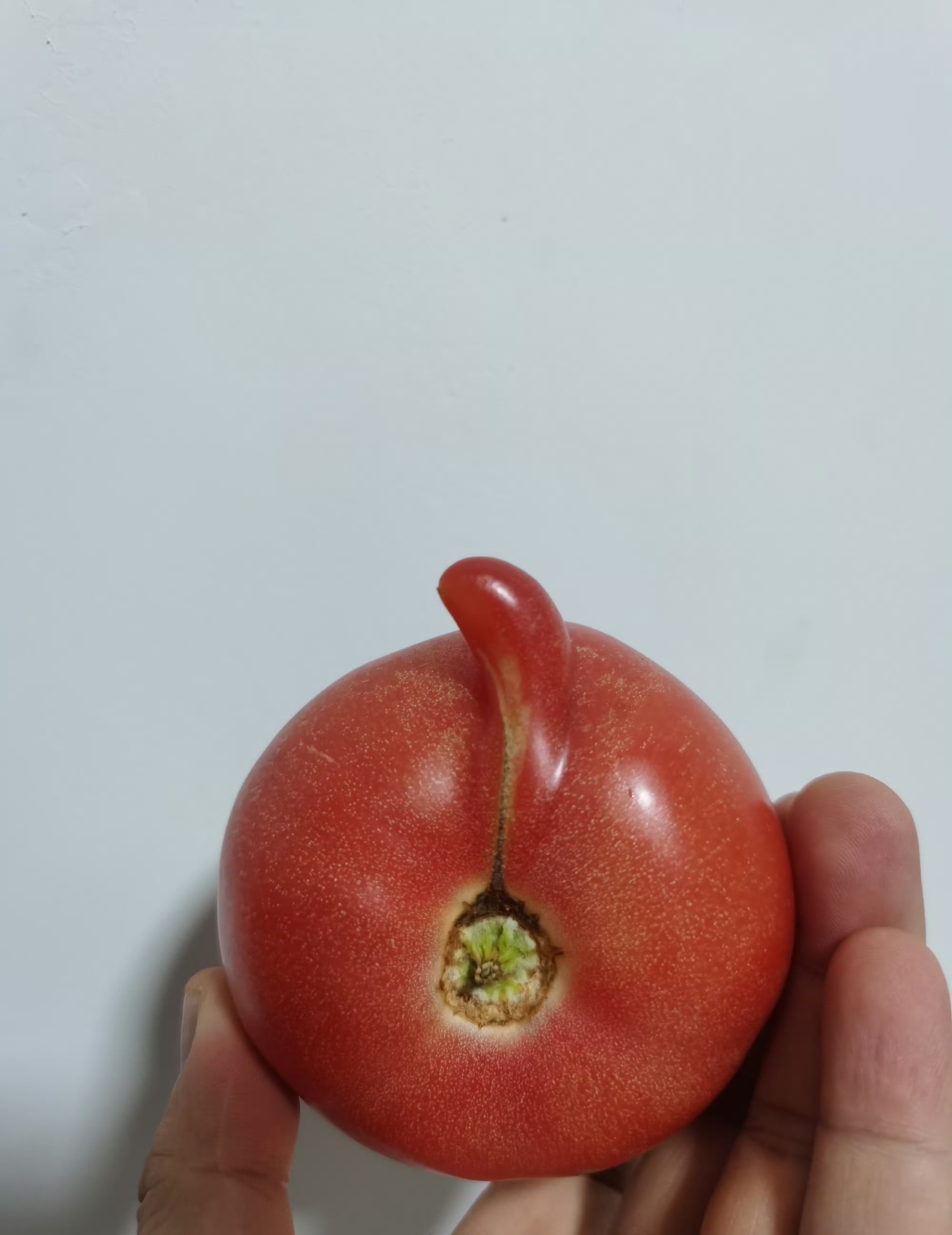 如何下嘴吃，第一口咬哪里。 