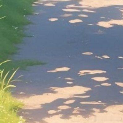 世界上最温暖的路，就是回家的路，愿返乡路畅，一路平安 