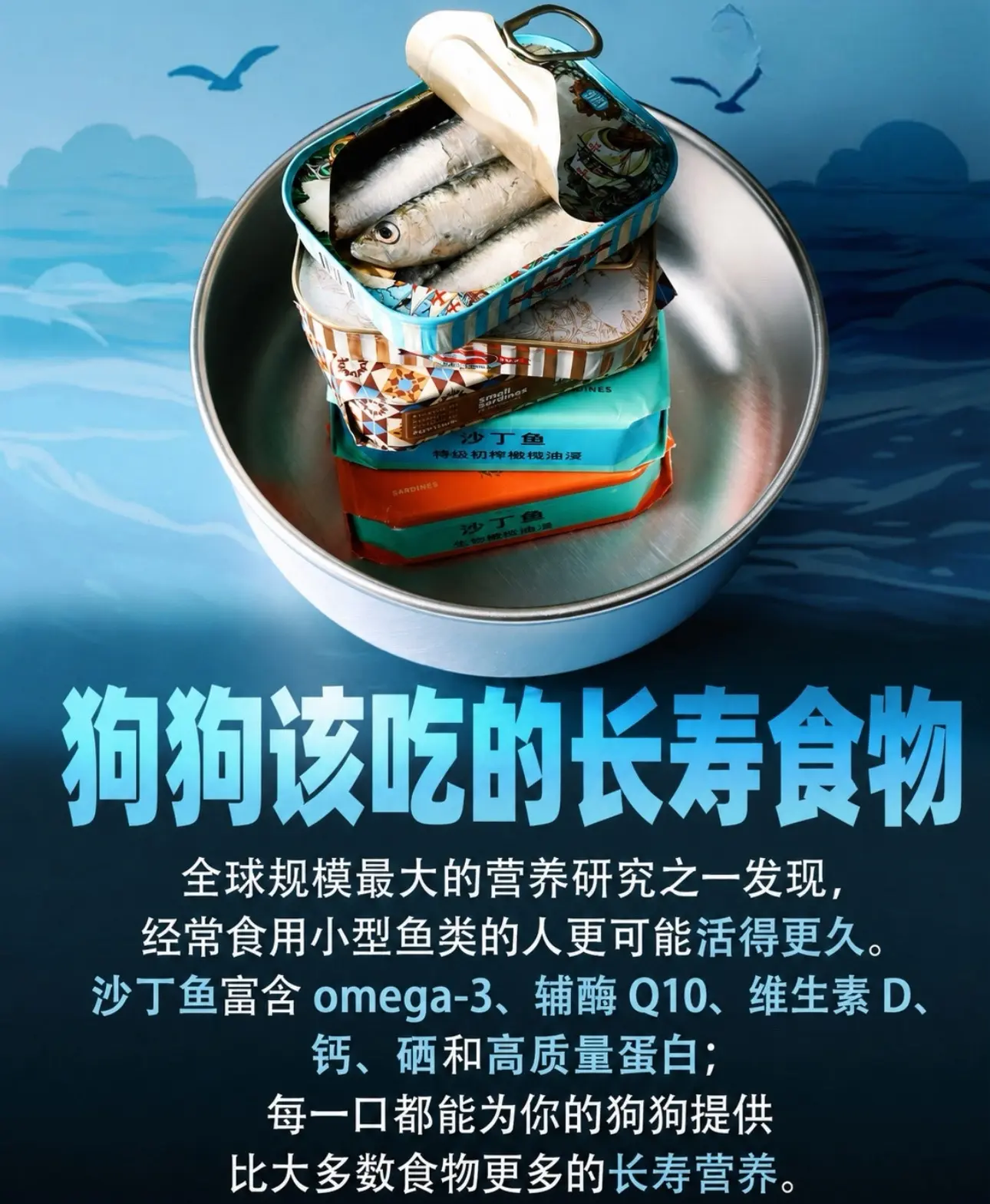 🐟猫狗长寿优选食材——沙丁鱼。🧐全球大型营养研究显示：长期少量食用...