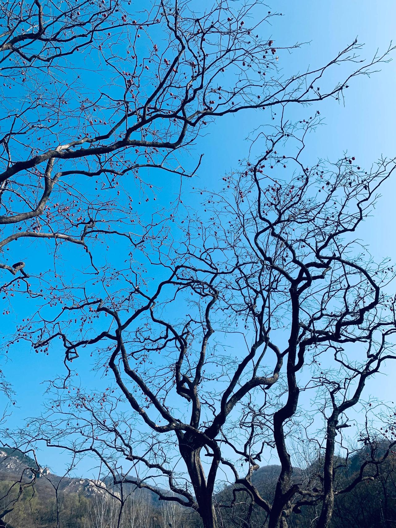无题

时光缓缓流淌
那些晴日里的鸟语花香
那些阴雨中的淡淡惆怅
都在光阴织就的