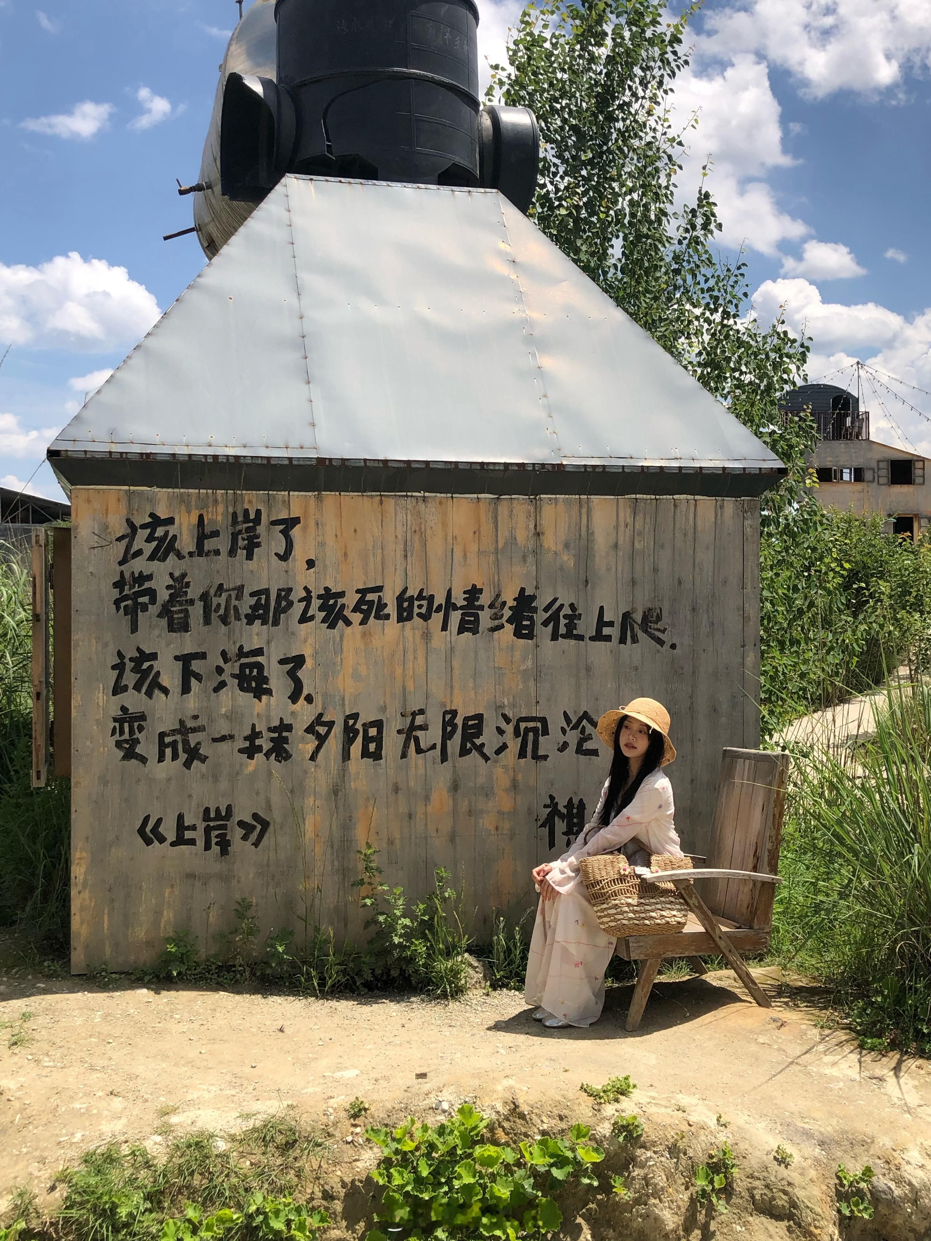 做了一场荒野の梦💤 ​​​