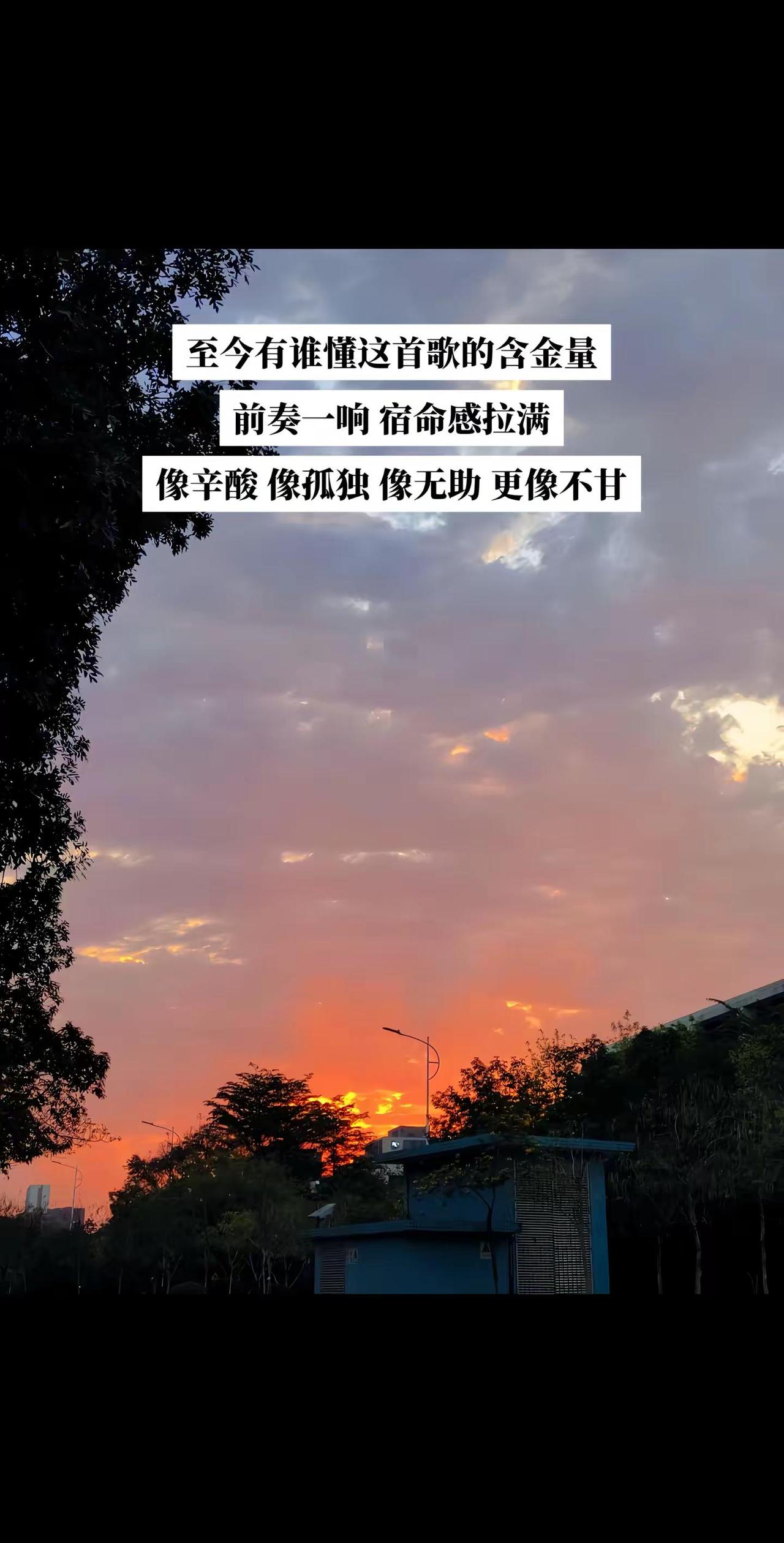 独坐在路边街角 冷风吹醒 默默地伴着我的孤影