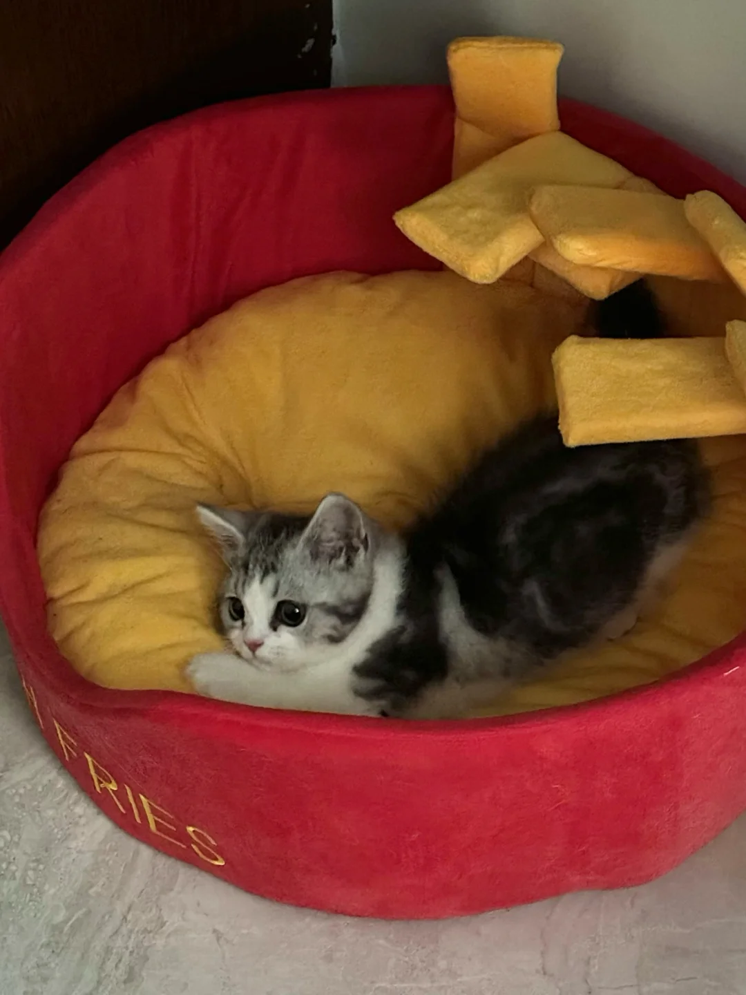 第一次睡窝窝🫨