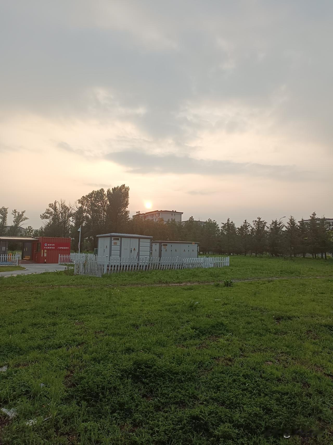 路是走出来的
青青草坪没有路，为了上班出行方便，人们沿着一条线路走，久而久之，踏