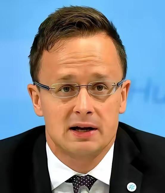 匈牙利外长这话太有冲击力了，“跟中国合作是欧洲企业活下去的必选项”，全欧洲都得被