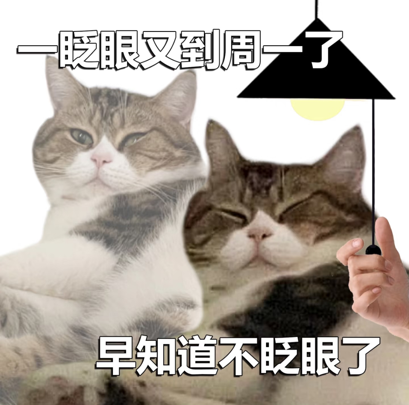 为什么周末总过得这么快 因为一睁眼，下午了，再过一会儿，晚上了，又该睡觉了[笑c