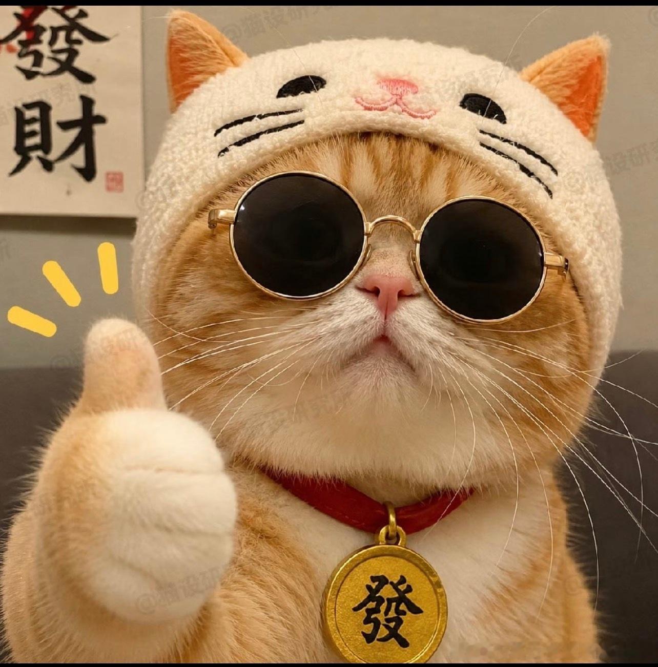 各位早早早！好久不见[手指比心][手指比心][手指比心]。这段时间没怎么发微博橙