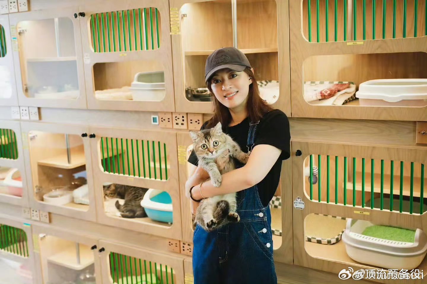 孙俪在菜市场捡了一只狗  还取名叫九菜 真的好可爱卡哇伊小狗狗 ​​​