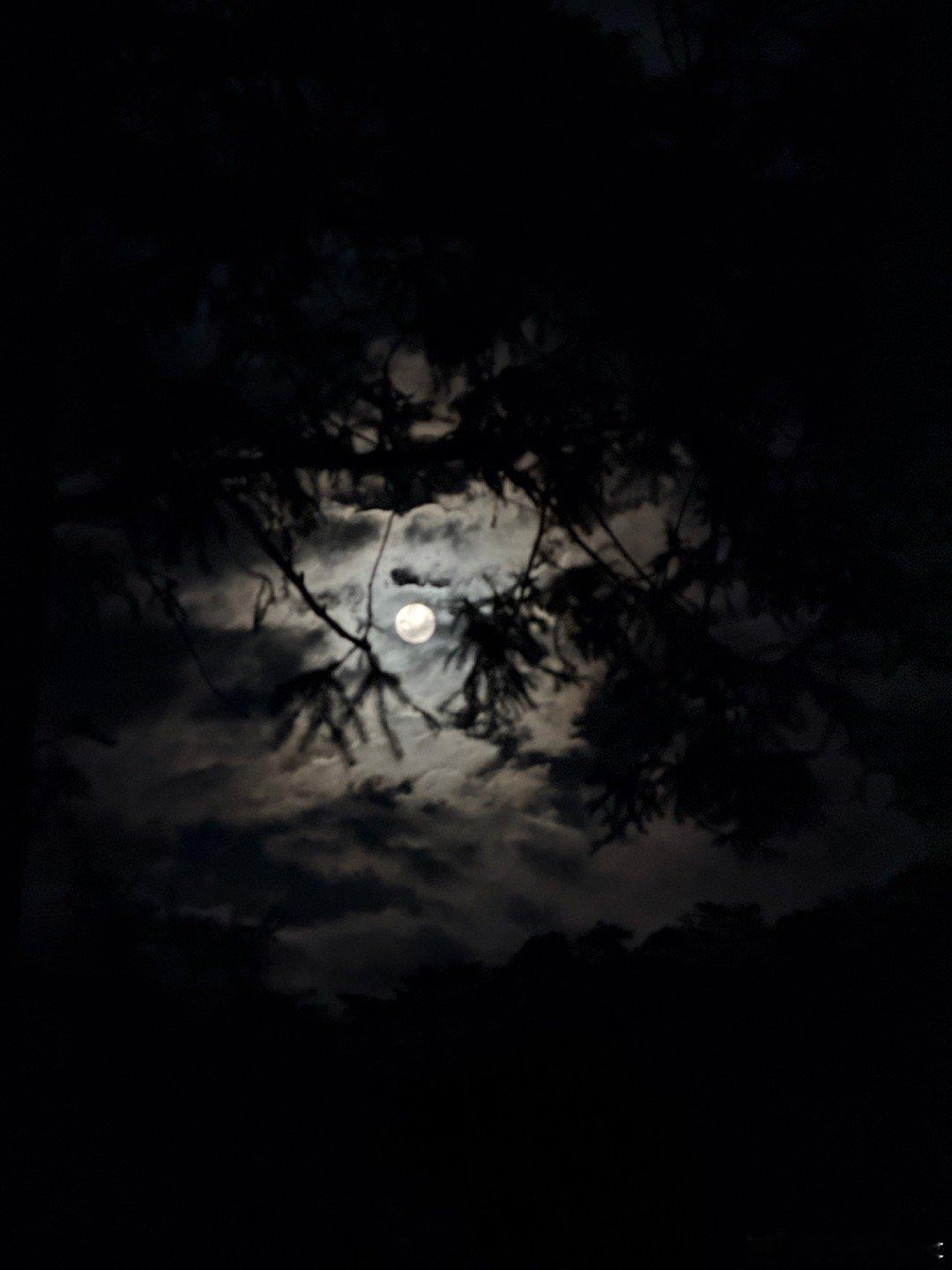 月圆之夜！ 