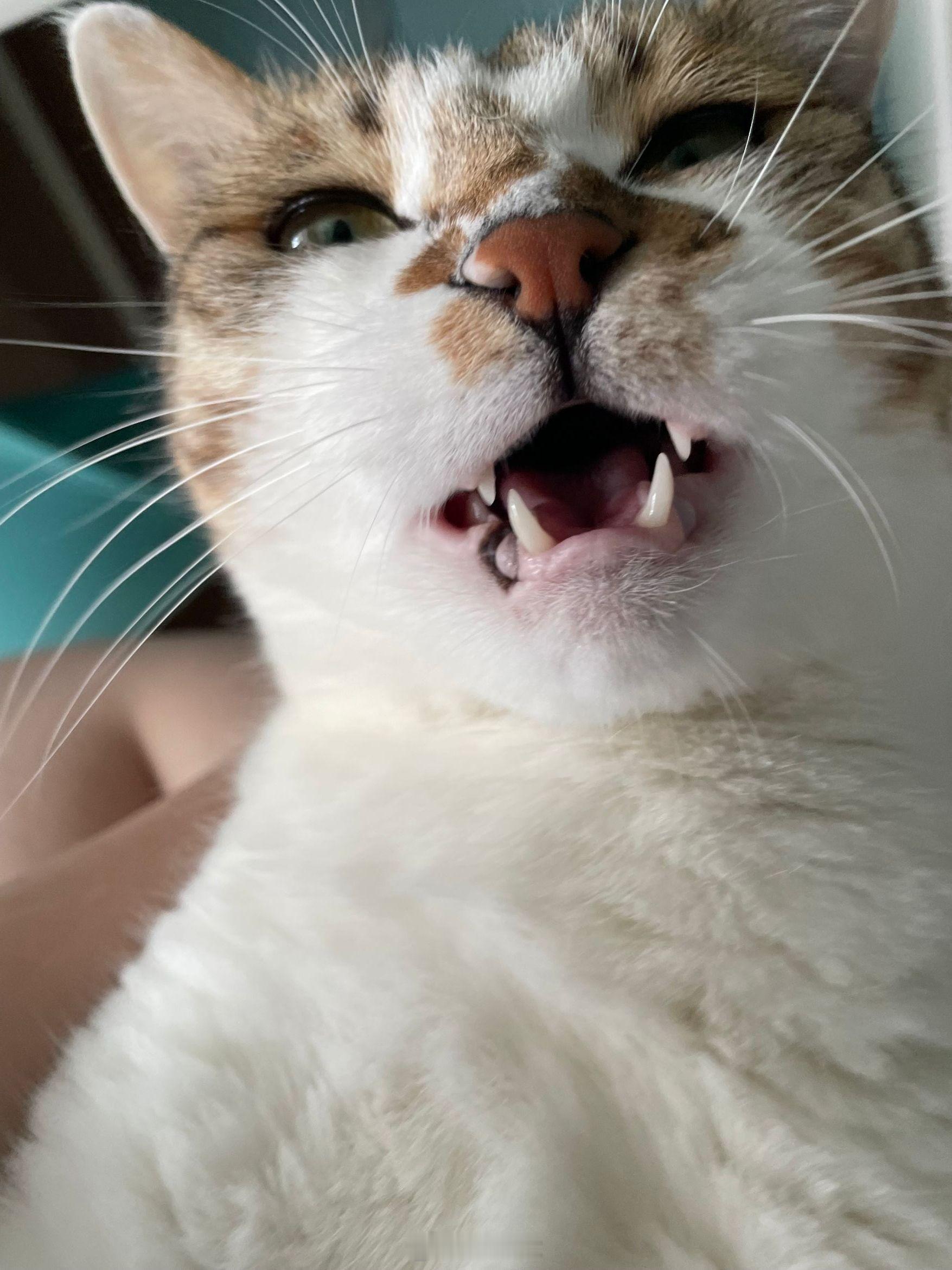好凶啊 