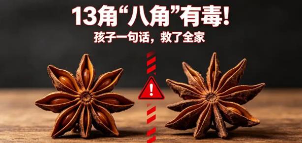 “孩子一个好奇，救了一家人的命！” 浙江一名女子炖肉时，放了几颗八角。旁边的儿子