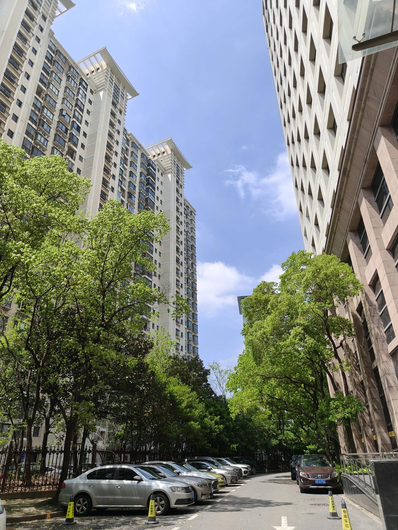 暮春。|  万物都在治愈你

辛苦一天，虽然疲惫，但窗外磅礴的绿，以眼前的多肉，