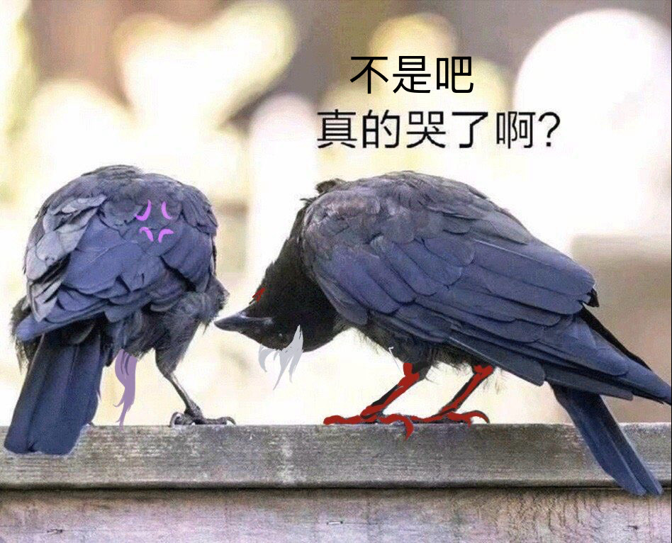 家属说他要看出生文，扔了一篇过去，看完他说：好gay喔妳写的我：本来我写的全都是