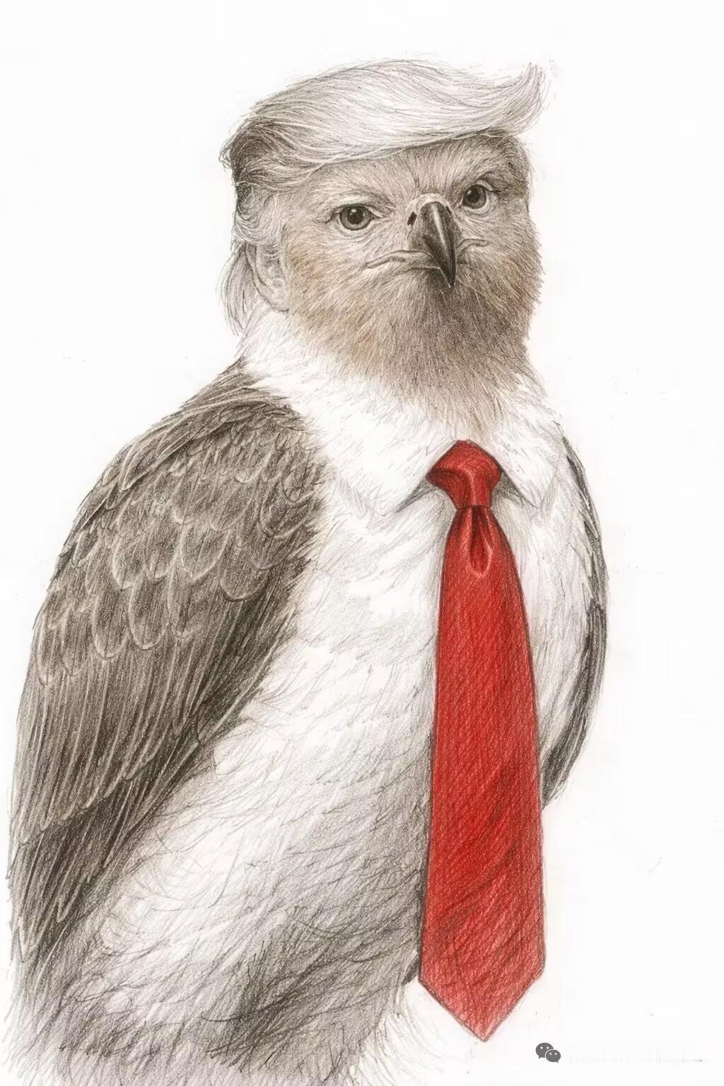 特朗普：如果伊朗想谈判，来美国找我吧。
     特朗普又出新招了。27日，俄罗