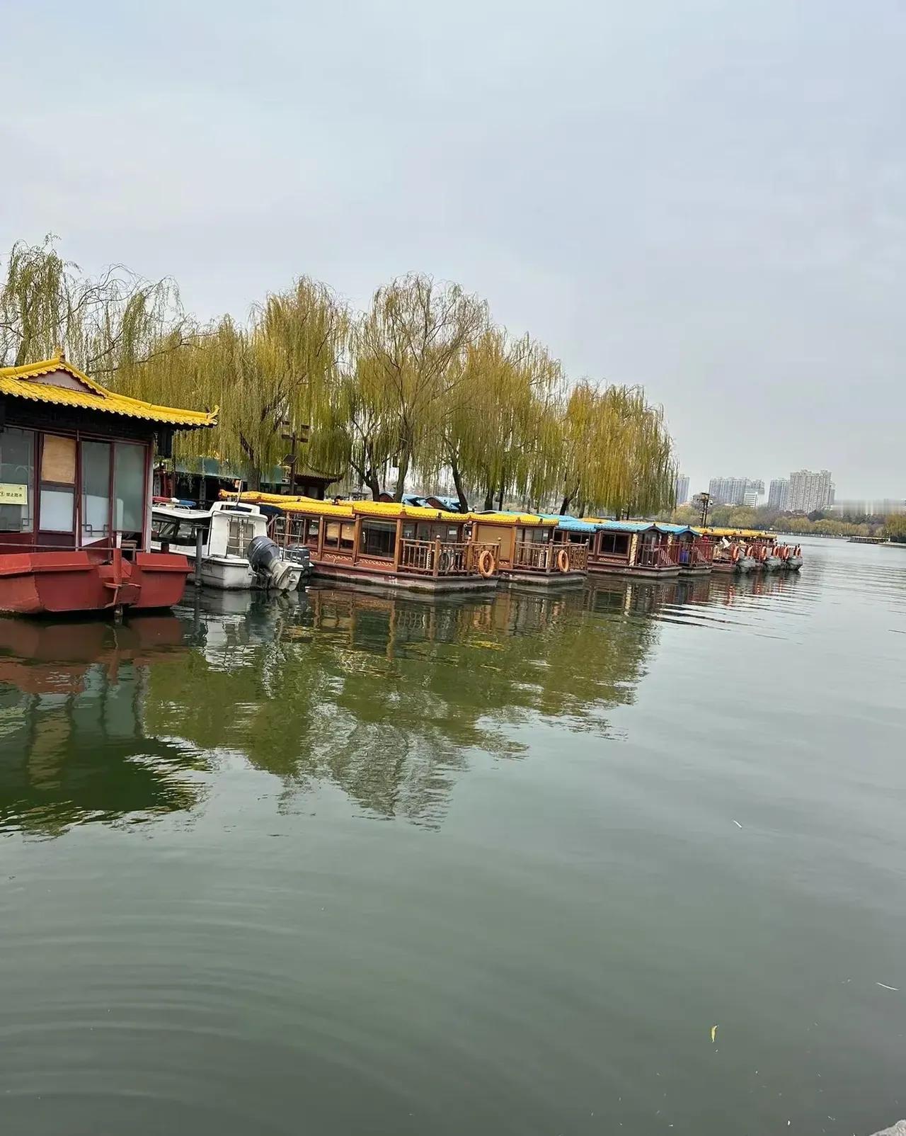 在这纷繁世界，要学会冷血。因为除家人外，真没谁会把你放在心上，别天真地期待他人的