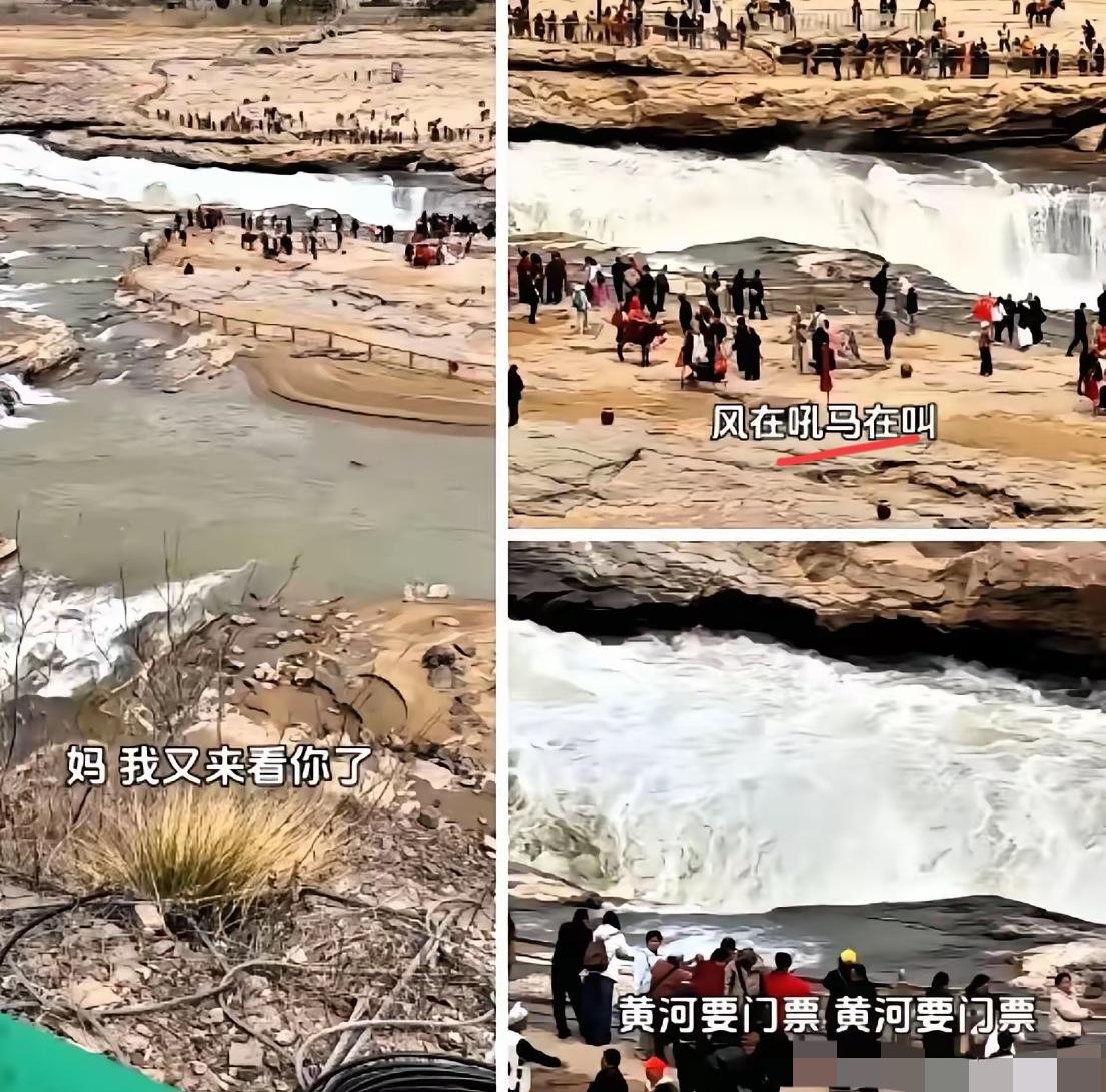 笑死我了，但笑完有点堵。
​        3月22日，壶口瀑布景区外，一个女的