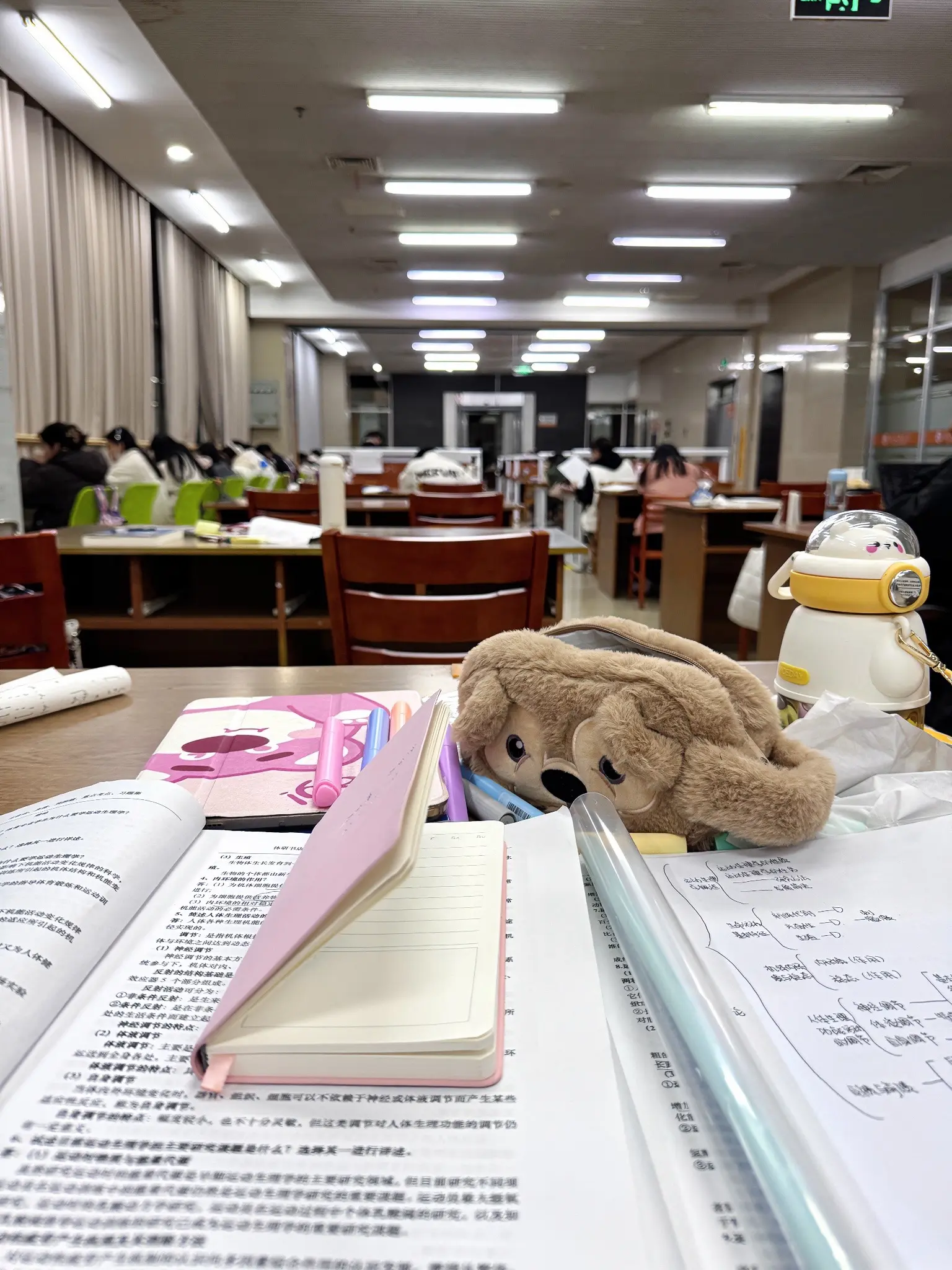 小公主的3−6月考研划水小日常。