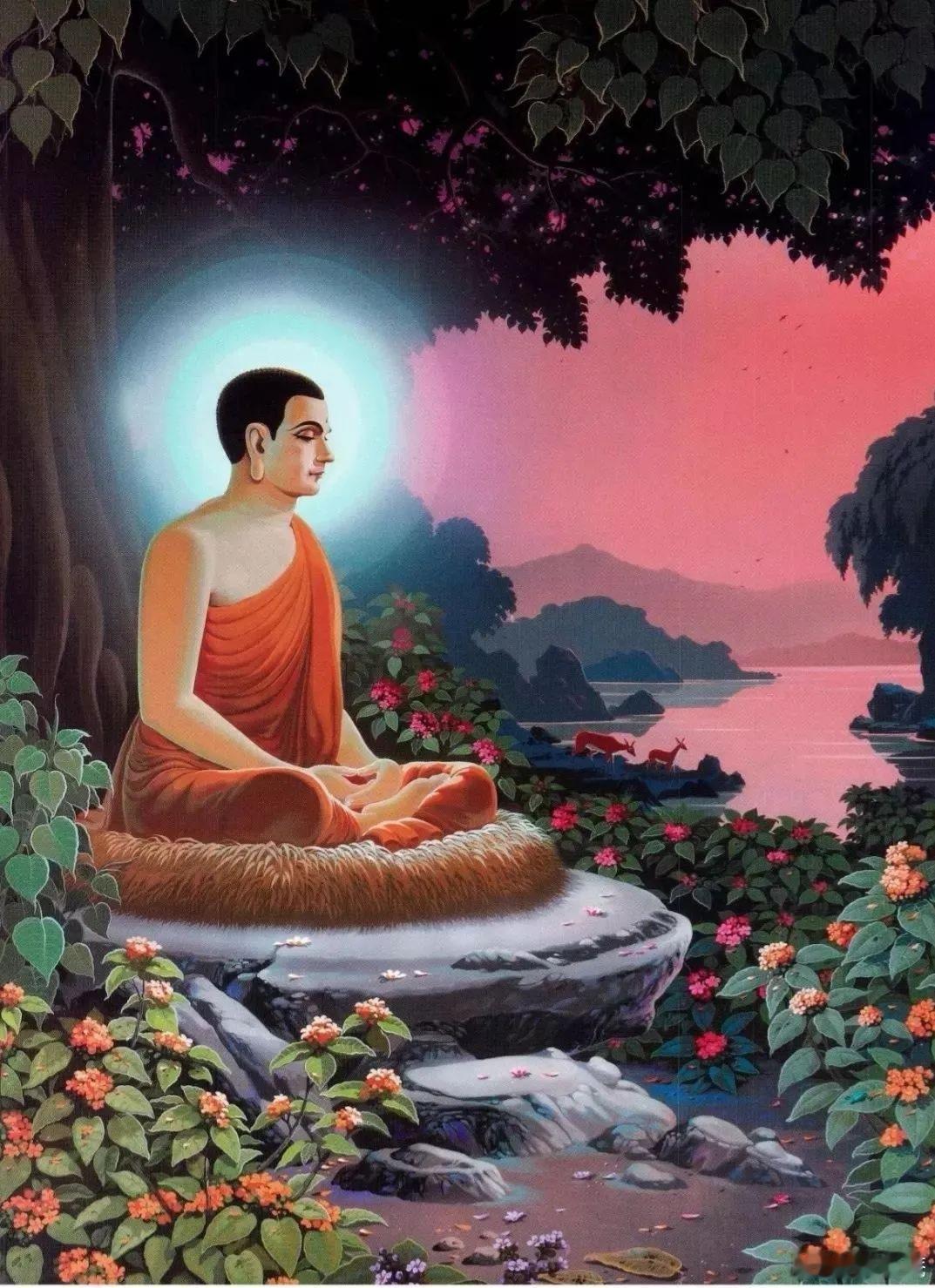 漠宏庵情感  王师追至苦行林:太子，王城中自从你出走到现在，再也没有了往日的欢乐