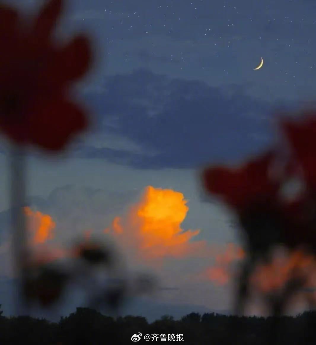 别只顾着低头追梦，偶尔也要仰望星空。#晚安#