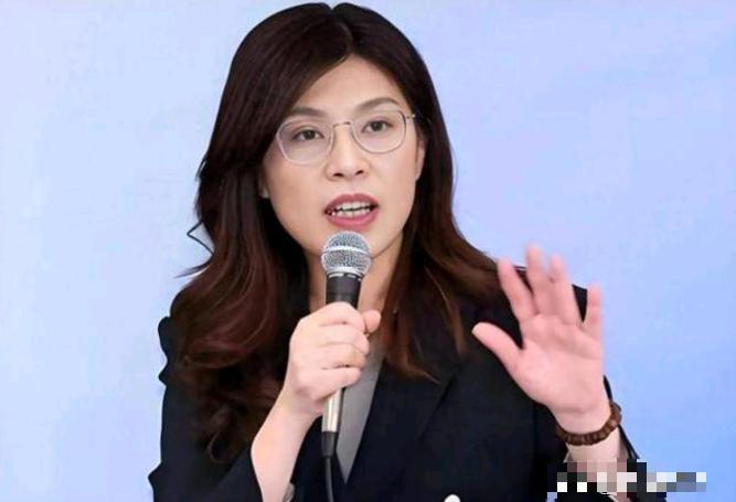 郑丽文又开始大嘴巴了！6月18日，郑丽文表示，两岸问题的解决可以参照"欧盟模式"