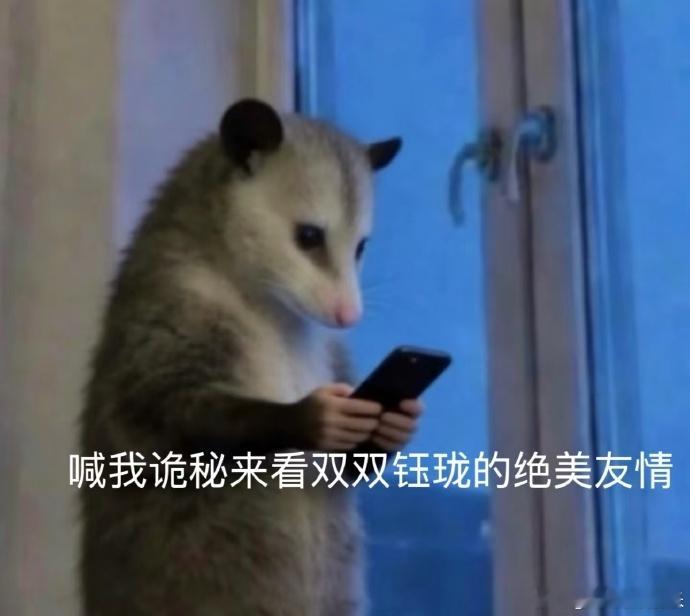 拧巴的人需要一个引导型钰珑 看《功夫女足》真的被双双和钰珑的友情暖到了！双双容易