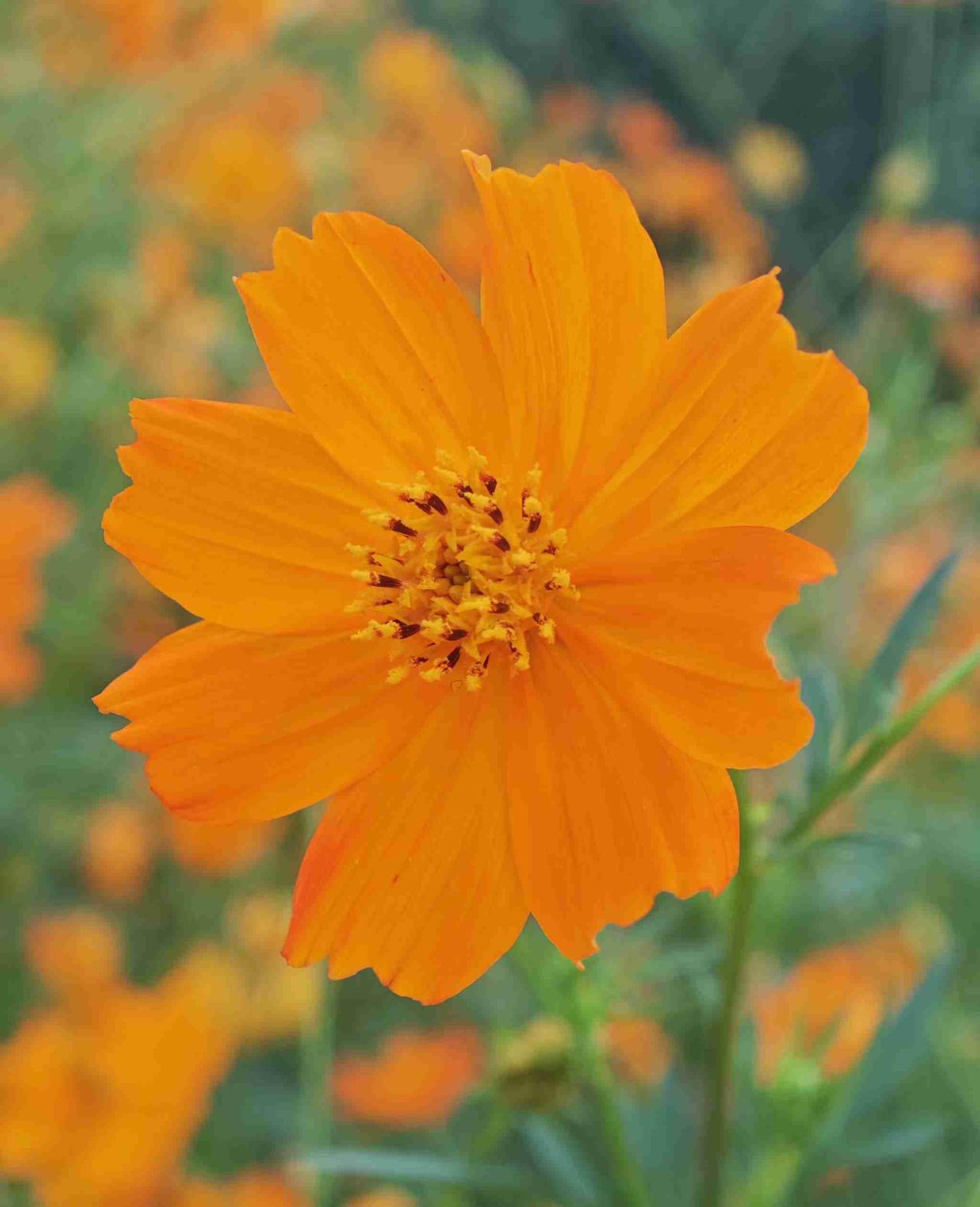 我的今日状态：😁轻松愉快
我这里的天气：☁️阴天