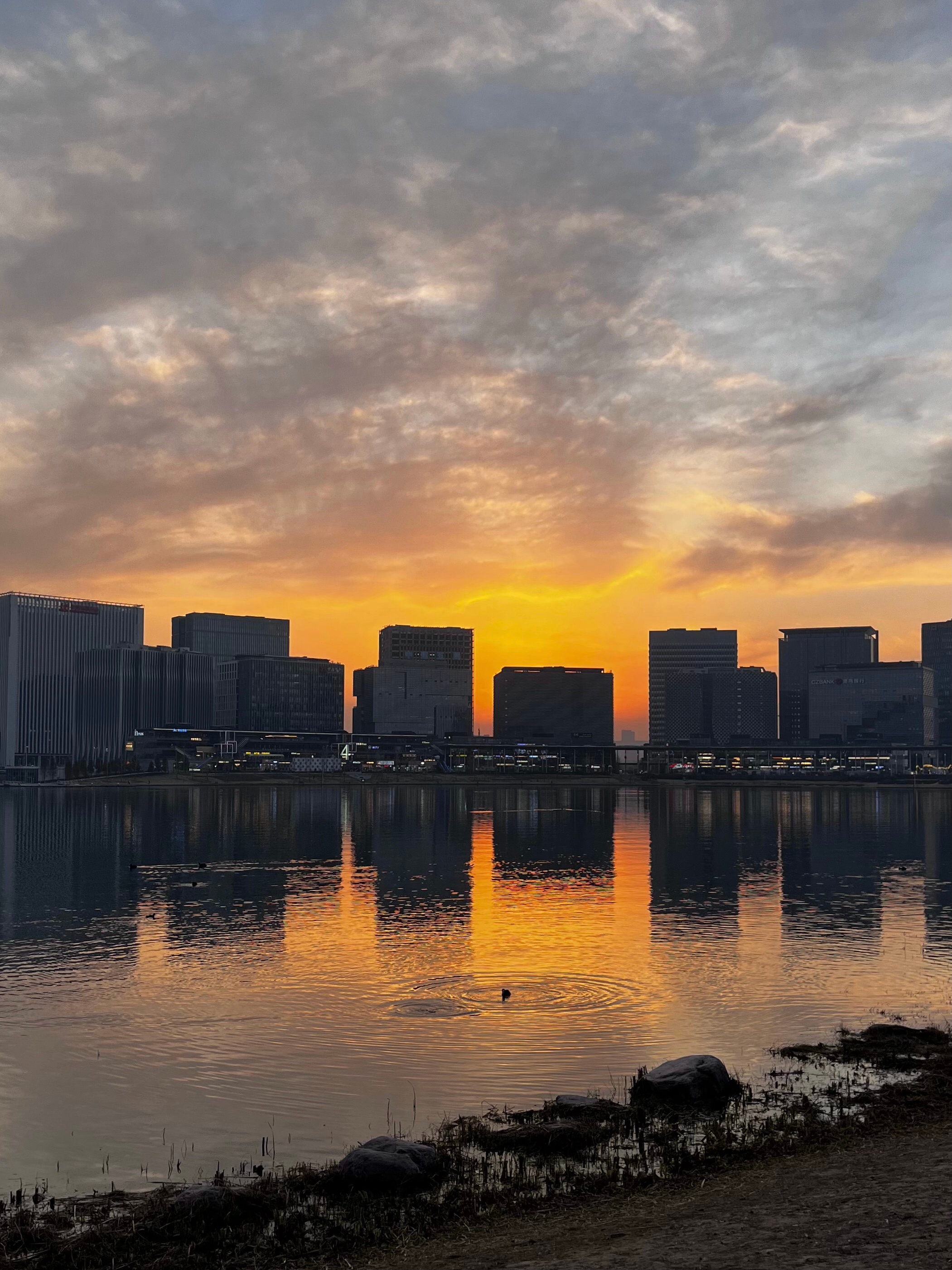 我看到有人说理性与非理性的对冲这事儿是有点根据的，就像咱时常看见的搭配：乖乖女配