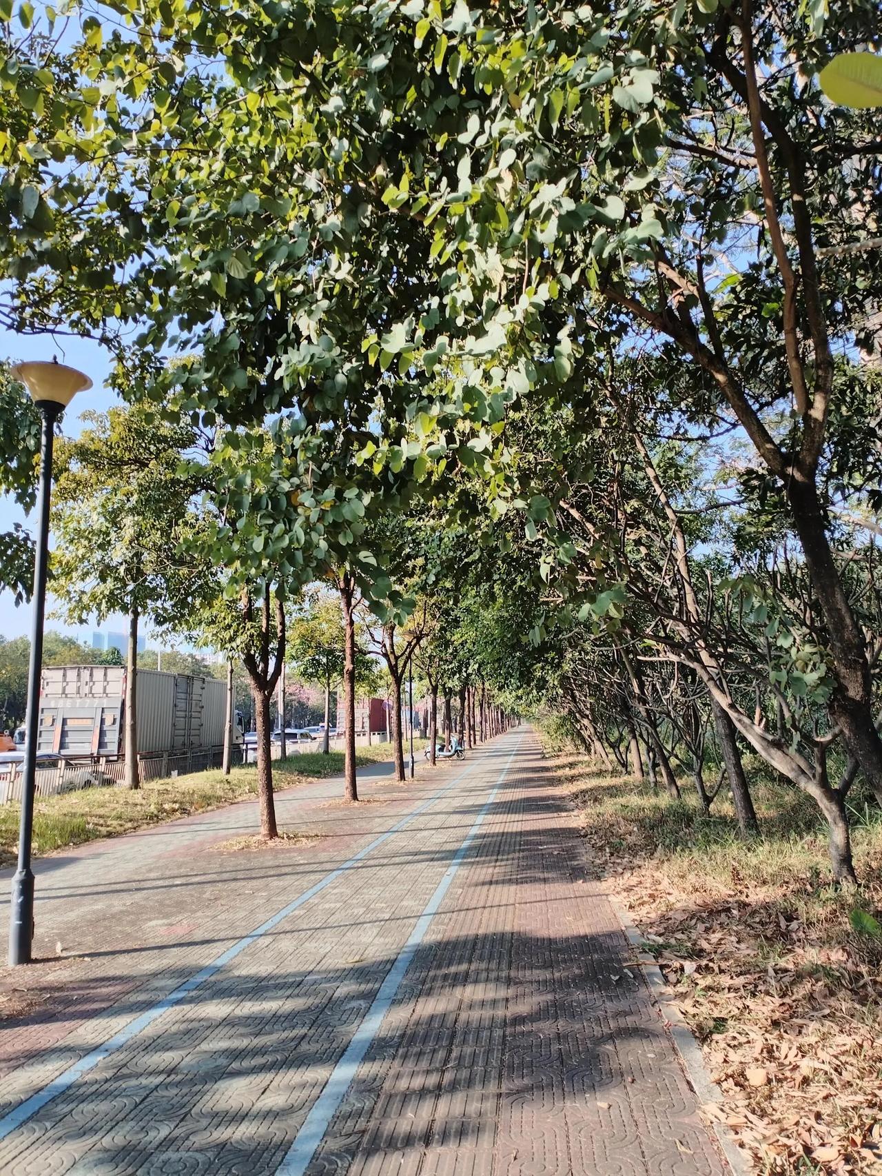 由于在工厂天天从事焊锡工作，当得知要是长期焊锡的话，对身体伤害挺大，于是我果断离