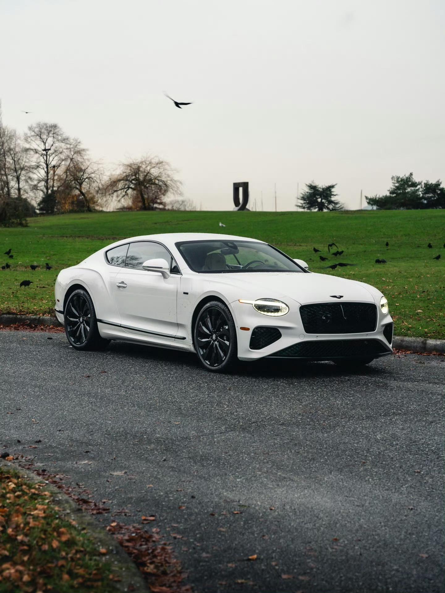 宾利 Continental GT Black Edition 